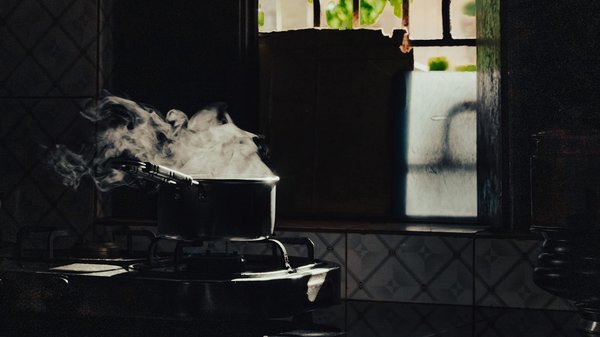 Impact environnemental d'un cuiseur vapeur